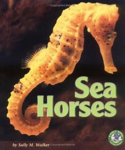 Sea Horses