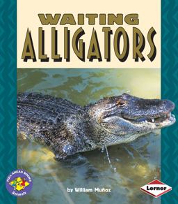 Waiting Alligators
