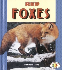 Red Foxes Red Foxes
