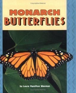 Monarch Butterflies