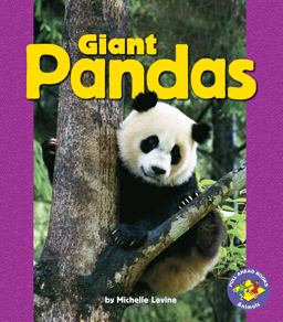 Giant Pandas Giant Pandas