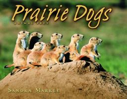 Prairie Dogs