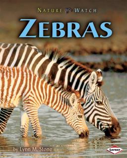 Zebras Zebras