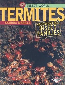 Termites