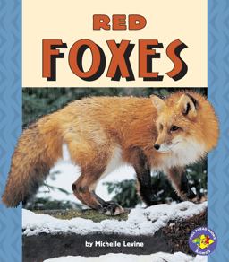Red Foxes Red Foxes
