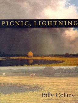 Picnic, Lightning  9780822956709 Front Cover