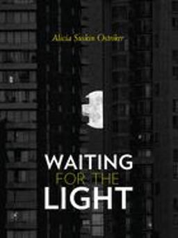 Waiting for the Light  9780822964520 Front Cover