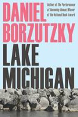 Lake Michigan  9780822965220 Front Cover