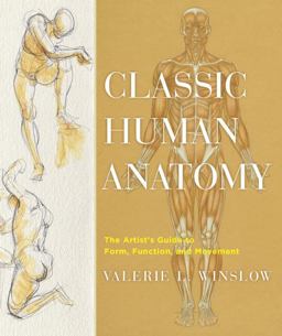 Classic Human Anatomy The Artist's Guide to Form, Function, and Movement  9780823024155 Front Cover