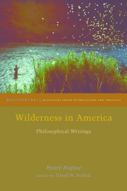 Wilderness in America Philosophical Writings  9780823275366 Front Cover