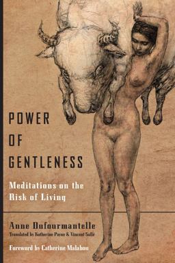 Power of Gentleness Meditations on the Risk of Living  9780823279609 Front Cover