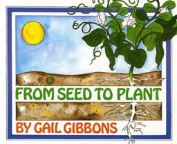 From Seed to Plant From Seed to Plant