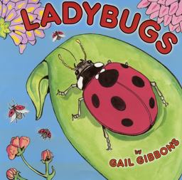 Ladybugs Ladybugs