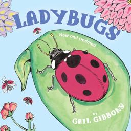 Ladybugs (New and Updated) Ladybugs (New and Updated)