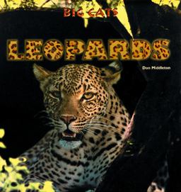 Leopards