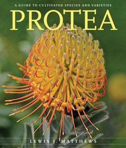 Protea A Guide to Cultivated Species and Varieties  9780824856700 Front Cover
