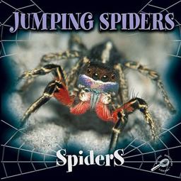 Jumping Spiders