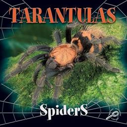 Tarantulas
