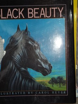 Black Beauty