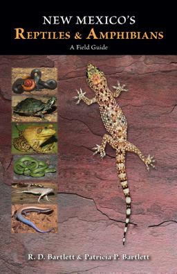 New Mexico's Reptiles &amp; Amphibians A Field Guide  9780826352071 Front Cover