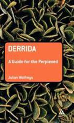 Derrida: a Guide for the Perplexed