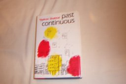 Past Continuous