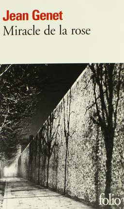 Miracle de la Rose