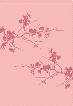 Santa Biblia de Estudio Serie 50 RVR 1960