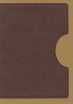 Biblia de Estudio de la Vida Plena RVR 1960