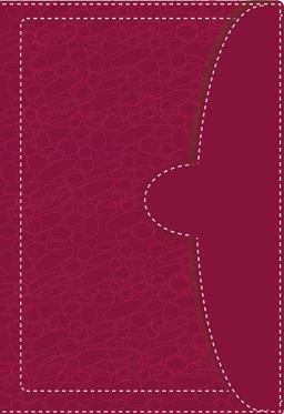 NVI/NIV Biblia Bilingüe