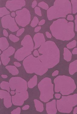 RVR 1960 Santa Biblia Thompson Edicion Especial para el Estudio Biblico