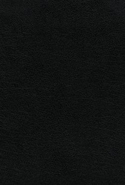 NVI Biblia de Estudio, Teología Bíblica, Piel Reciclada, Negro, Interior a Cuatro Colores