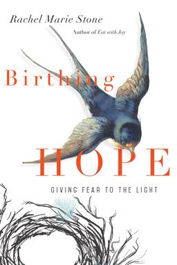 Birthing Hope Giving Fear to the Light  9780830845330 Front Cover