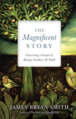 Magnificent Story Uncovering a Gospel of Beauty, Goodness &amp; Truth  9780830846368 Front Cover