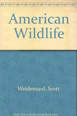 American Wildlife