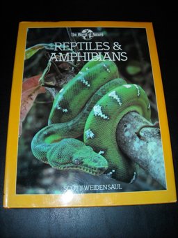 Reptiles and Amphibians