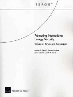 Promoting International Energy Security