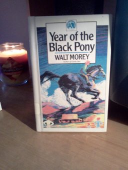 The Year of the Black Pony