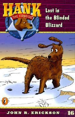 Lost in the Blinded Blizzard