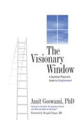 Visionary Window A Quantum Physicist's Guide to Enlightenment  9780835608459 Front Cover