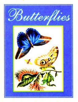 Butterflies