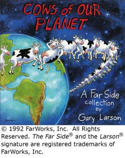 Cows of Our Planet  9780836217018 Front Cover