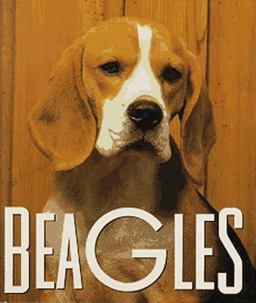 Beagles