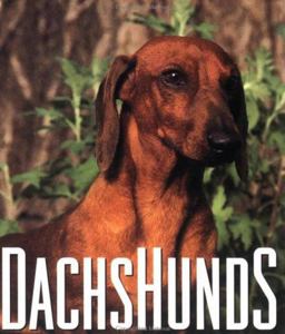 Dachshunds