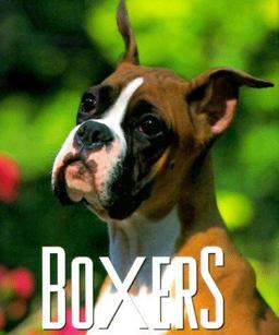 Boxers