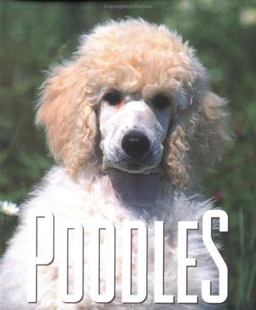 Poodles