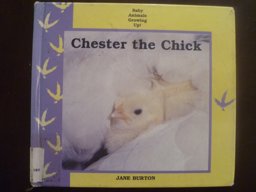 Chester the Chick