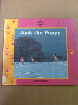Jack the Puppy
