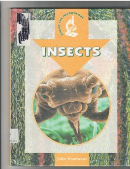 Insects