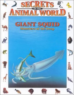 Giant Squid